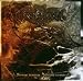 Anklicken zum Vergrößeren: Kromlek - Strange Rumors... (Audio CD)