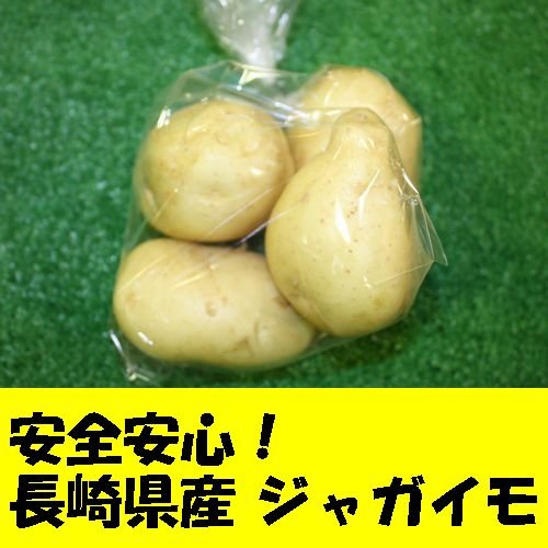 九州産　農産物直売所　販売用　ジャガイモ