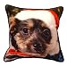 Santa Dog Pillow