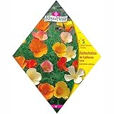 [春・秋まき　ハナビシソウ・花菱草　花タネ][フランス花の種]カリフォルニアンポピーミックス 1袋