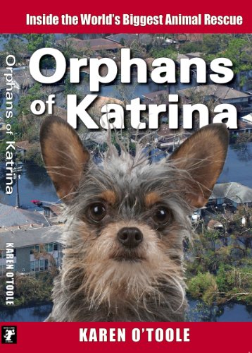 Orphans of Katrina: Inside the World's Biggest Animal Rescue. What Really Happened on the Gulf and How You Can Help Save America's Pets Today.
