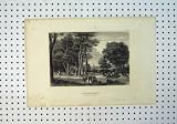 c1864 VIEW DIE BRIGITTENAU PRATER BEI WIEN COUNTRY TREE
