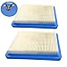 HQRP 2-Pack Air Filter Cartridge for Toro 20062 20064 20065 20066 20067 20068 20090 20090C 20091 20091C 20092 20092C 20093 20093C 20095 20095C Series Lawn Mower Coaster