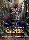 The Illustrated Cat's Life