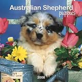 Australian Shepherd Puppies 2008 Mini Wall Calendar