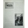 1886 NEW ZEALAND KAURI PINE FOREST WAIORONGOMAI TRAMWAY