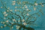 Art Reproduction Oil Painting - Van Gogh Paintings: Branches Of An Almond Tree In Blossom - Large 24 X 36 - Hand Painted Canvas Art