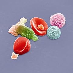 Peter Gabriel - New Blood - Live In London (Deluxe Edition) [Blu-ray + DVD + 2 CD + Book]