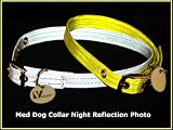 Pet Supplies : Super Reflective Gold Dog Collar -Med | By Vedante | Bonus Glow in the Dark Tag