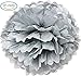 10pcs Silver Tissue Hanging Paper Pom-poms, Hmxpls Flower Ball Wedding Party Outdoor Decoration Premium Tissue Paper Pom Pom Flowers Craft Kit