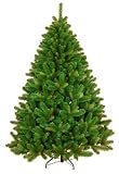 1.5m (5ft) Alberta Spruce christmas tree from Tree Classics