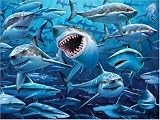 Mural Jammer Sharks Mega Mural Wall Hanging (6 x 4 Feet) Mural Jammer Sharks Mega Mural Wall Hanging (6 x 4-Feet)
