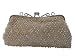 Clutch Beaded Handmade Evening Handbag / Purse W/Shoulder Chain Brown 51llY%2B8PWHL. SL75 Clutch Beaded Handmade Evening Handbag / Purse W/Shoulder Chain Brown