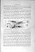 Natural History 1896 Lace-Wing Flies Insects Neuroptera