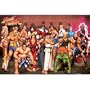 (24x36) Street Fighter (Characters) Video Game Poster Print