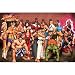 (24x36) Street Fighter (Characters) Video Game Poster Print