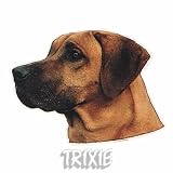 Eigenschaften Trixie  / Aufkl. Rhodesian Ridgeback, (K)