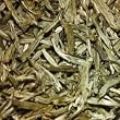 jasmine white tea