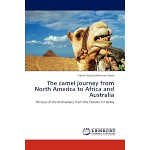 camel journey