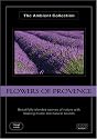 Flowers of Provence