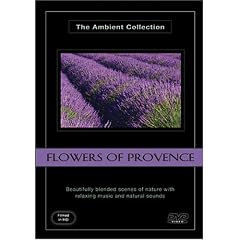Flowers of Provence