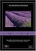 Flowers of Provence
