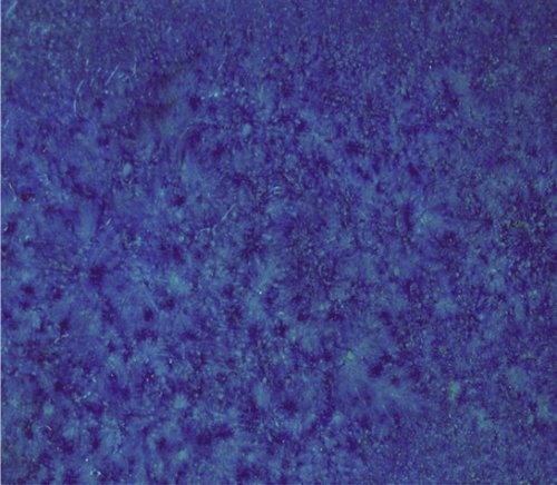 MARSHALLTOWN The Premier Line ESBLUE32 32-Ounce Blue Elements Concrete Stain