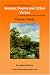 Book cover for 9781425006686