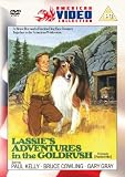 Lassies Adventures In The Goldrush [DVD] [1951]