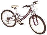 Silverfox Fantasy 24 18 Speed Girls Mountain Bike