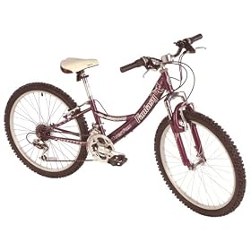 Silverfox Fantasy 24" 18 Speed Girls Mountain Bike