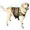 Paws Aboard Doggy Life Jacket - Camo