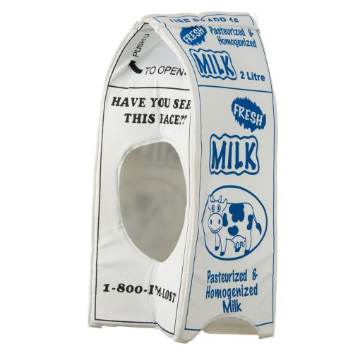 Milk Carton Hat - White Blue OSFM