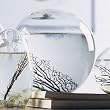 Large 6" EcoSphere