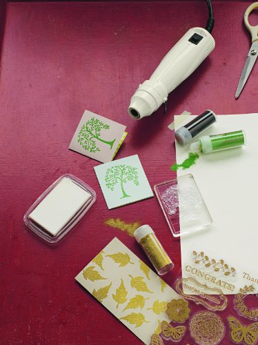 Martha Stewart Heat Embossing Kit