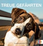Hunde - Treue Gef&auml;hrten 2012 - Postkartenkalender - 