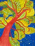 51lmQYmkJ8L. SL160  Greenbox Art plus Culture Under The Canopy Stretched Canvas Wall Art by Caroline Blum, 18 by 24 Inch