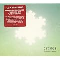 Particles & Waves (Bonus DVD)