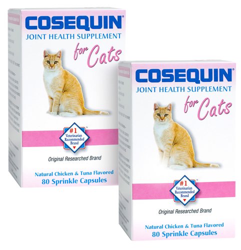 Cosequin Tablet for cats 80 Count 2-PackB004I3VJUA