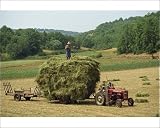Photographic Print of Farming couple with tractor and full trailer during haymaking in a field near... from Robert Harding