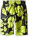 Laguna Boys' Hibiscus Dude Boardshort