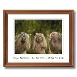 Monkey See Monkey Do Kids Room Animal Wildlife Home Decor Wall Picture Oak Framed Art Print