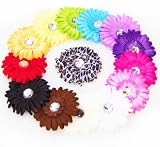Ema Jane - 13 Assorted Cute Large Gerber Daisy Flower Hair Clips Bows - (Head Bands NOT Included) Toddlers, Infants, Baby, Youth, Girls