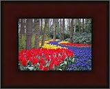 Review ArtToFrames  / 10x13 / 10 x 13 Picture Frame Mahogany .. 3.5'' wide