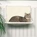Radiator Hammock Cats Bed White