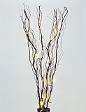 Lightshare&trade; 36Inch 16LED Natural Twig Branch Light,Battery Powered,Brown Branch,Warm White Light for Home Decoration