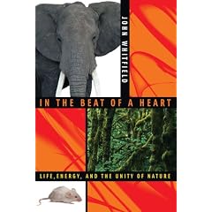 In the Beat of a Heart: Life, Energy, and the Unity of Nature