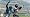Madden NFL 09