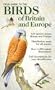 AA Field Guide To The Birds Of Britain