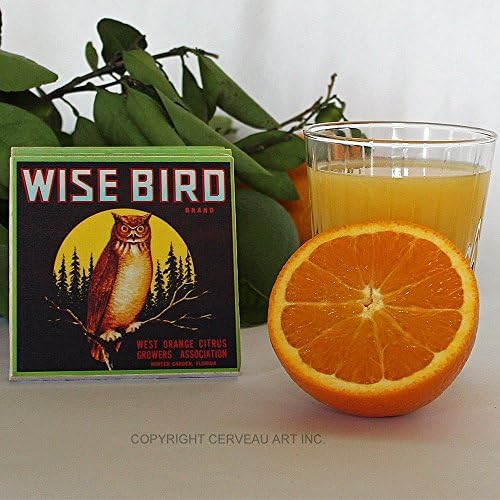 Owl Coasters - Vintage Label Coasters - Drink Coasters - Bar Coasters - Stone Coasters - Set of 4